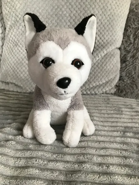 pluszowy-husky-one-for-fun-certyfikaty-opinie-atesty-ce