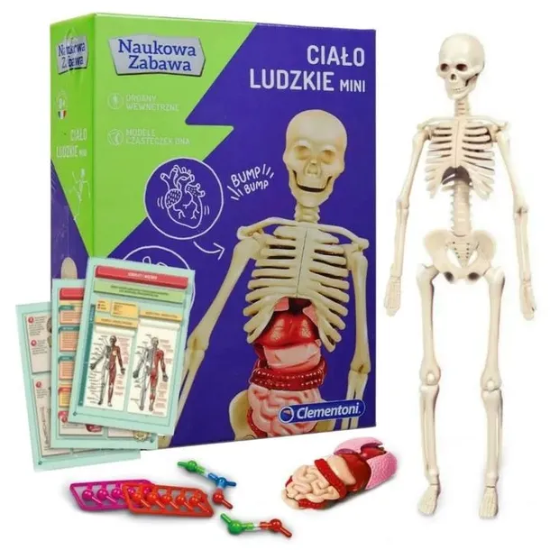 cialo-ludzkie-mini-clementoni-material-karton-plastik