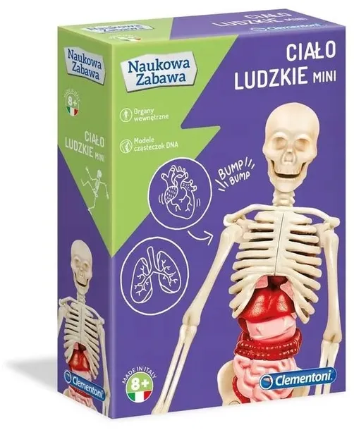 cialo-ludzkie-mini-clementoni-certyfikaty-opinie-atesty-ce