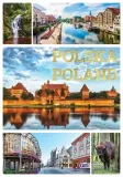 polska-poland-fenix