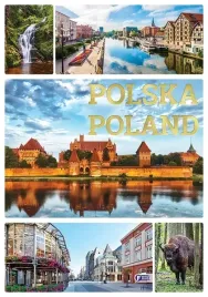 polska-poland-fenix