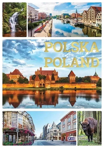 polska-poland-fenix