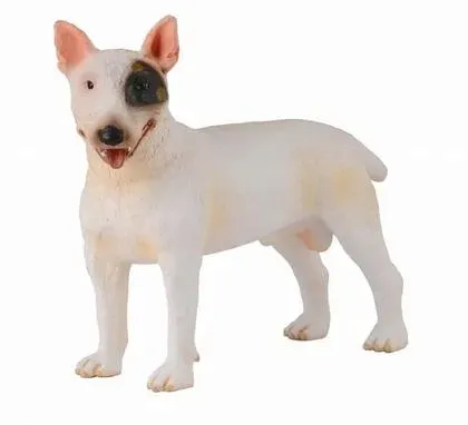 pies-bullterier-collecta
