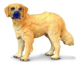 pies-golden-retriever-collecta