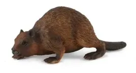 bobr-collecta