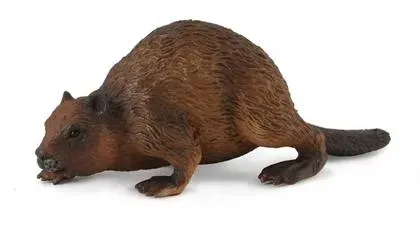 bobr-collecta