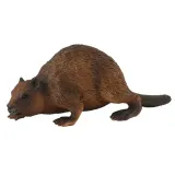 bobr-collecta-stan-nowy