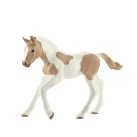zrebie-rasy-paint-horse-slh13886