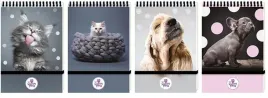 kolonotes-a6-96k-kratka-zamykany-na-gumke-the-sweet-pets-1szt-mix