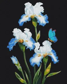 malowanie-po-numerach-brushme-40x50-cm-irysy