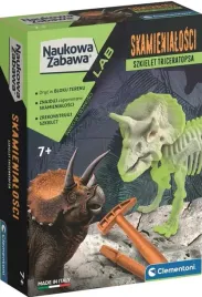 skamienialosci-szkielet-triceratopsa-50860