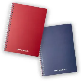 kolonotatnik-a5-80k-kratka-swing-mono-bg
