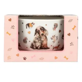 miseczka-w-ozdobnym-pudelku-top-model-fur-ever-friends-13867a