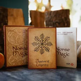 karty-tarot-norse-magic