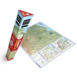 mapa-polska-fizyczna-plakat-demart