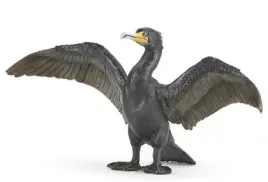 kormoran-papo