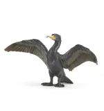 kormoran-papo-stan-nowy