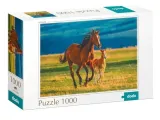 puzzle-1000-teaching-the-foal-dodo-kod-producenta-dob1149