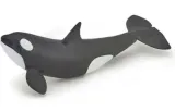 orka-mloda-papo