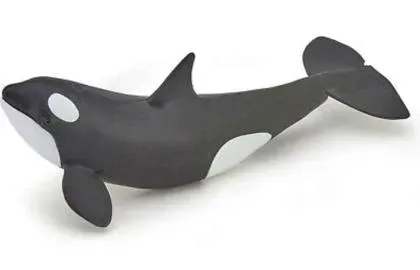 orka-mloda-papo