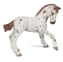 zrebie-appaloosa-papo