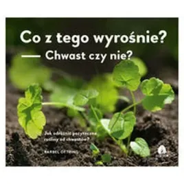 co-z-tego-wyrosnie-chwast-czy-nie