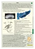 biologia-sciagi-edukacyjne-demart-wydawnictwo-demart