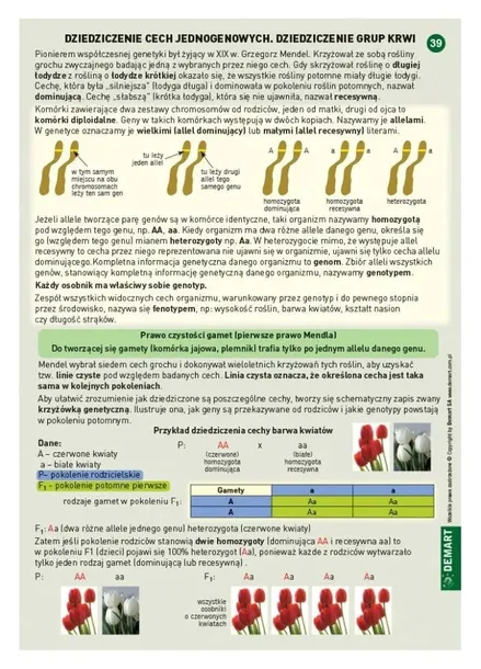 biologia-sciagi-edukacyjne-demart-jezyk-polski