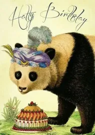 karnet-b6-z-koperta-urodziny-panda-madame-treacle
