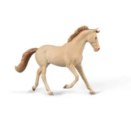 klacz-thoroughbred-masci-perlino-collecta