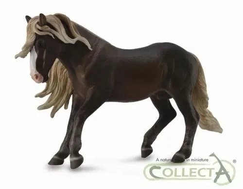 ogier-szwarcwaldzki-collecta-material-plastik