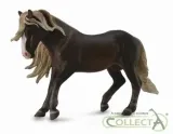ogier-szwarcwaldzki-collecta-material-plastik