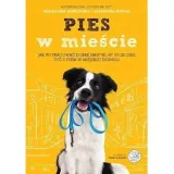 pies-w-miescie-znak
