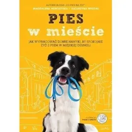pies-w-miescie-znak