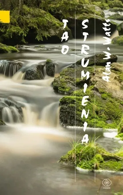tao-strumienia-rebis