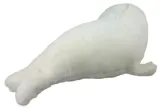 foka-38cm-dubi-marka-dubi