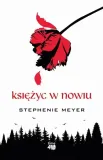 ksiezyc-w-nowiu-time4ya-stan-nowy