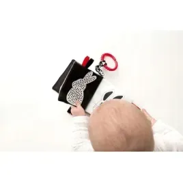 ksiazeczka-kto-to-co-to-mom-s-care