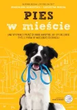 pies-w-miescie-znak-stan-nowy