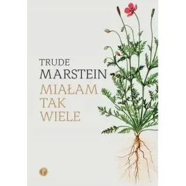 mialam-tak-wiele-pauza