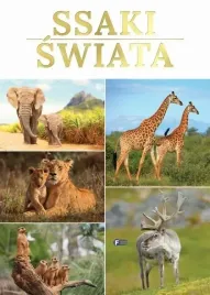 ssaki-swiata-fenix