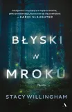 blyski-w-mroku-agora-stan-nowy