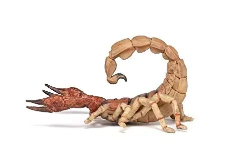 skorpion-papo-plec-chlopcy-dziewczynki