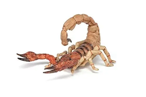 skorpion-papo-marka-papo