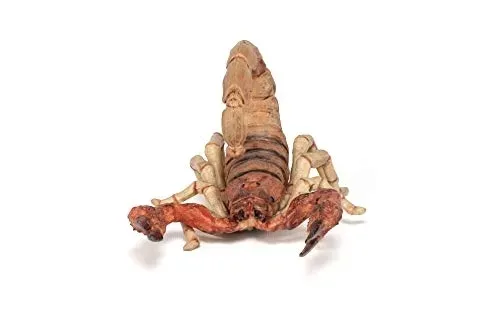 skorpion-papo-material-plastik