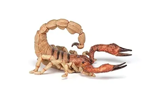 skorpion-papo-certyfikaty-opinie-atesty-ce