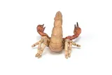 skorpion-papo-typ-figurka