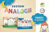 zestaw-analogii-arson-stan-nowy