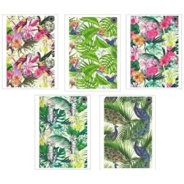 brulion-b5-160k-kratka-paradise-5szt-ziemia-obiecana