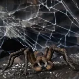 aragog-wizarding-world-schleich-marka-schleich